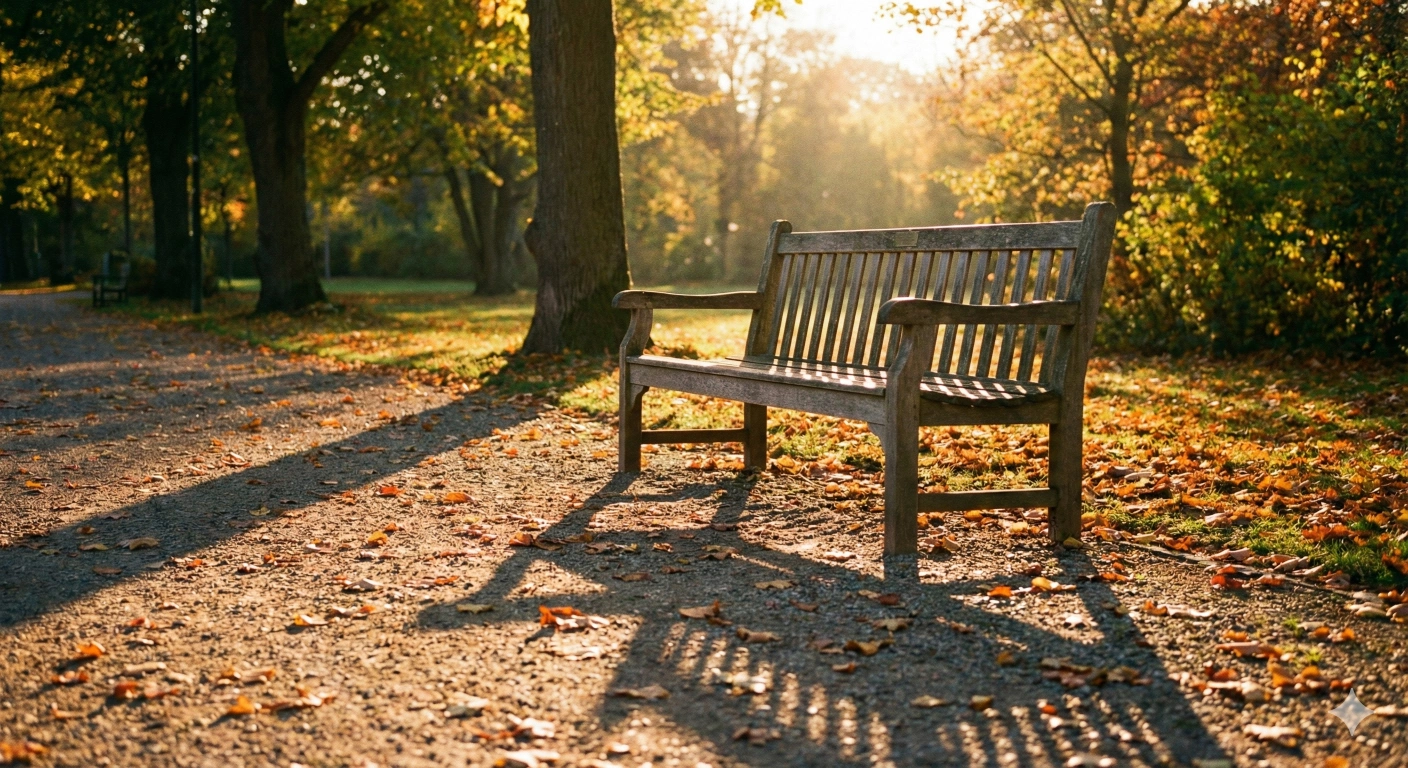 Park bench at golden hour with warm light and long shadows